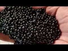 خط تولید کود ارگانیک