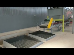 خط تولید دانه داران تخت