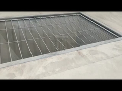 خط تولید دانه داران تخت